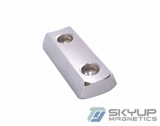 China High Quality Segment motor magnets coat with Epoxy made by permanent rare earth Neo magnets produced by Skyup magnetics supplier