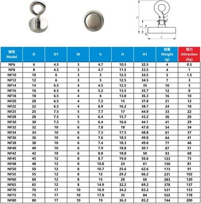 Hot Sale NdFeB Hook magnets produced by strong Permanent Magnets coated with Nickel plating