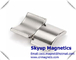Arc motor magnets - rare earth NdFeB Magnets used in Electronics and small motors ,with ISO/TS certification supplier
