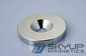 Hot Sale Permanent Rare earth NdFeB Magnets with counter sunk hole used in door catch supplier