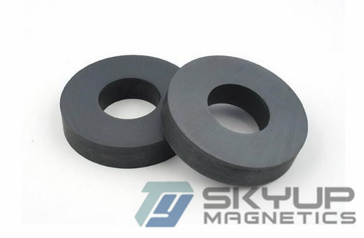 High quality Ferrite magnets and Ceramic Magnets  made by professional factorty used in Pumps