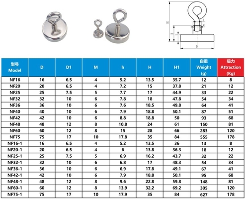 Hot Sale NdFeB Hook magnets produced by strong Permanent Magnets coated with Nickel plating